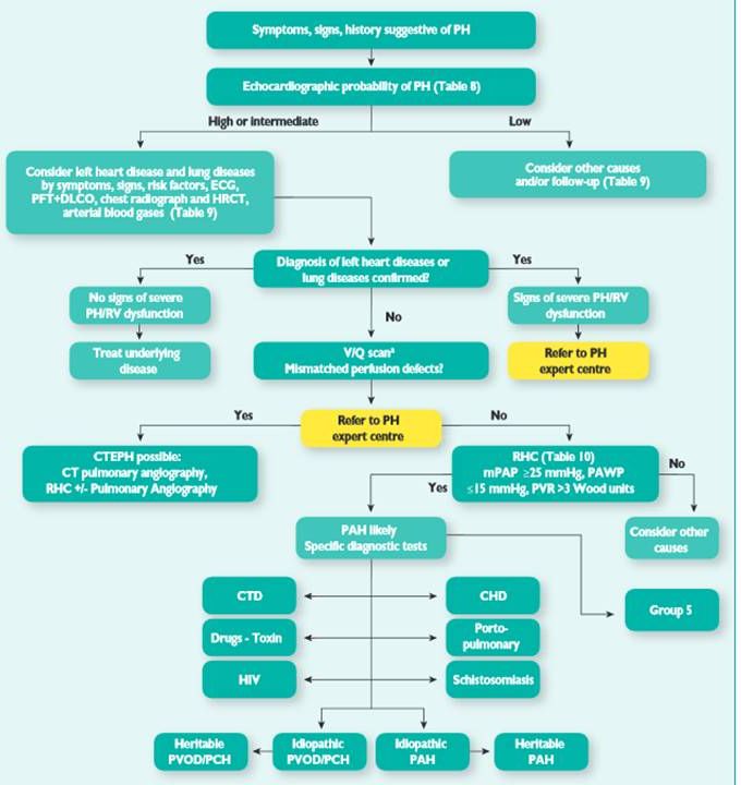 Diagnosis of precapillary pulmonary hypertension. Think outside the box